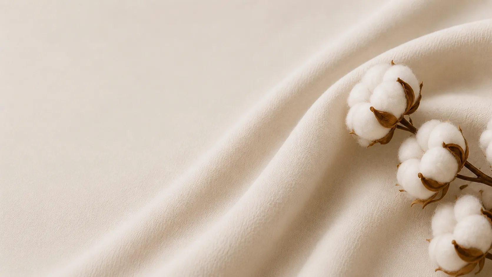 Raw cotton bolls on soft fabric